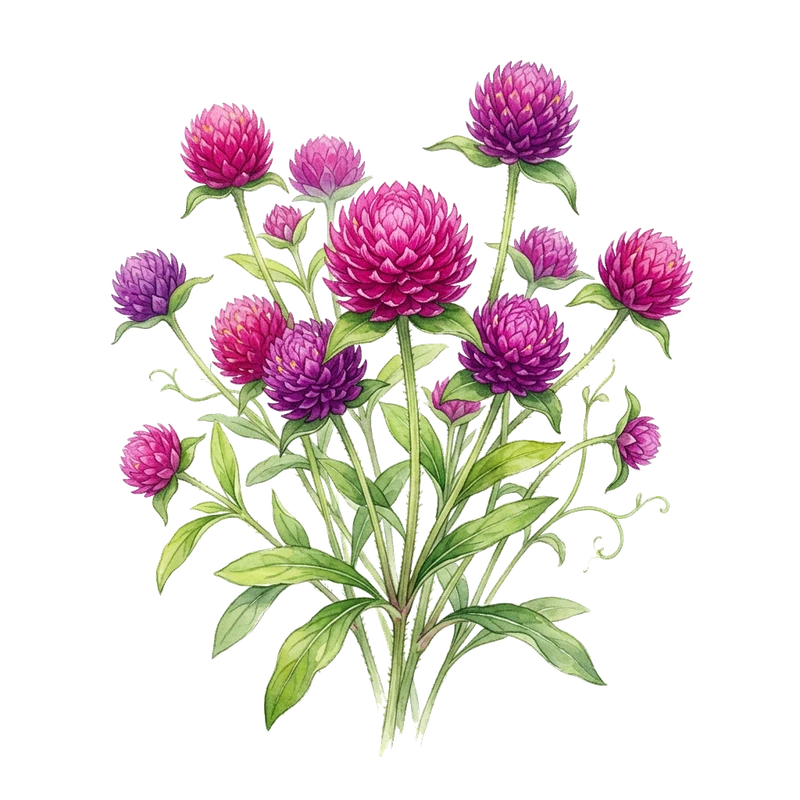 Klotamarant