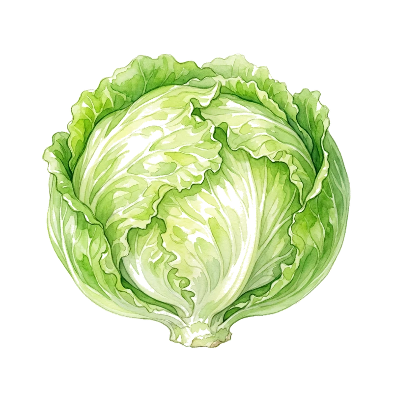 Isbergssallat