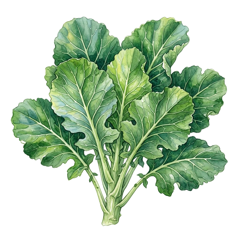 Collard Greens